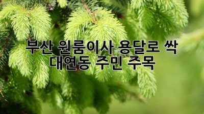 부산 원룸이사, 용달로 싹!🚚 대연동 주민 주목✨