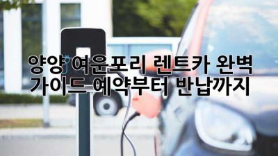 양양 여운포리 렌트카 완벽 가이드: 예약부터 반납까지
